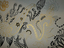 Shaida_parveen_small