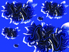 Blue_bloom_medium